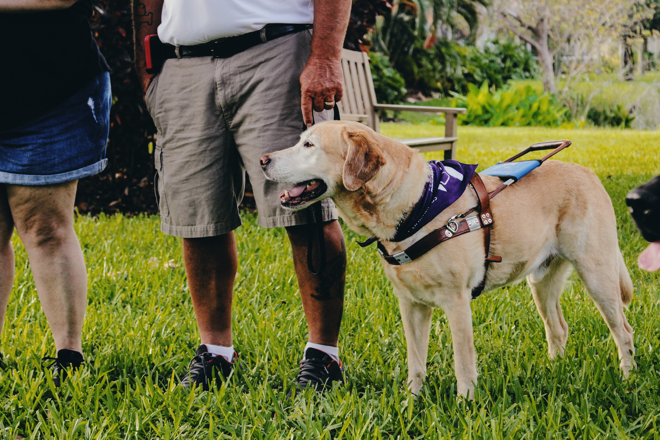 Southeastern Guide Dogs Inc